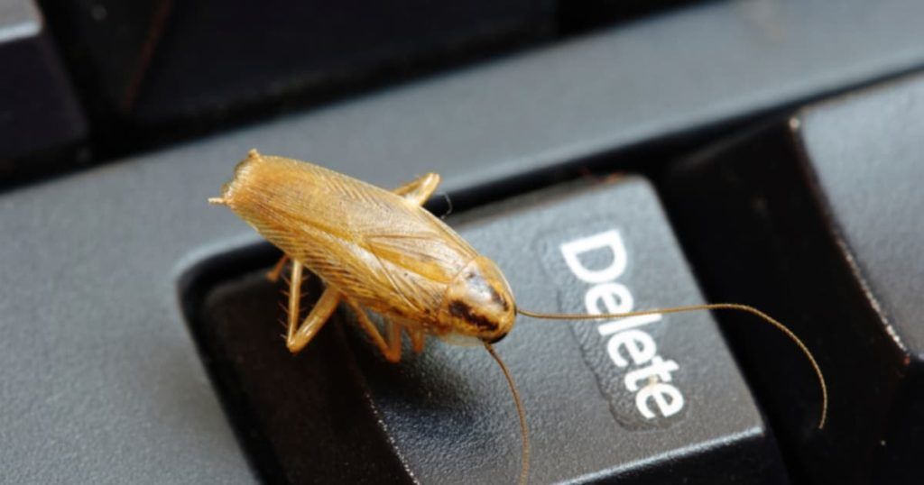 Уничтожение тараканов в офисе в Пскове